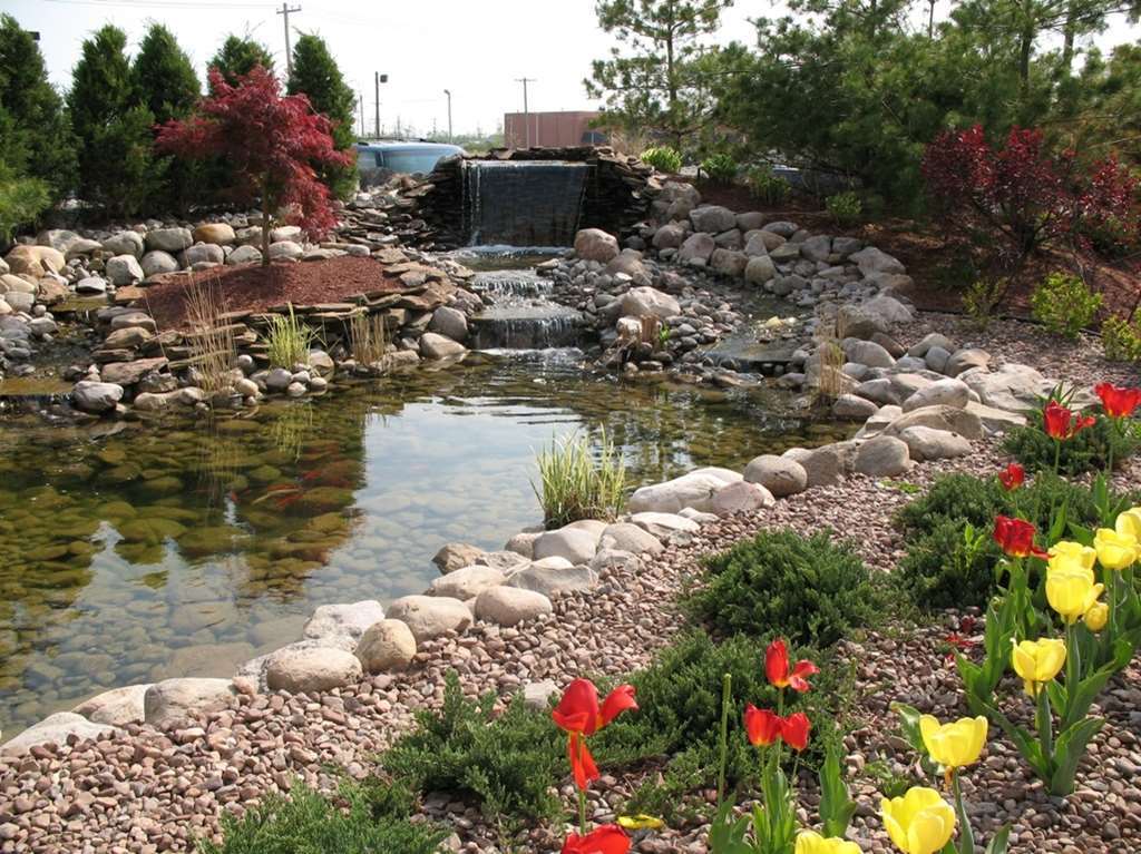 Hilton Garden Inn Buffalo Airport Cheektowaga Εξωτερικό φωτογραφία